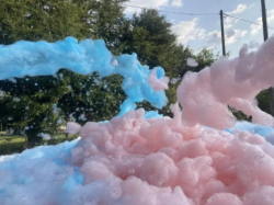 Gender reveal foam party