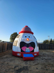 The Frosty Fun Dome
