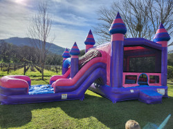 1000001060 1770953775 Bubble Gum Splash Combo Wet Or Dry